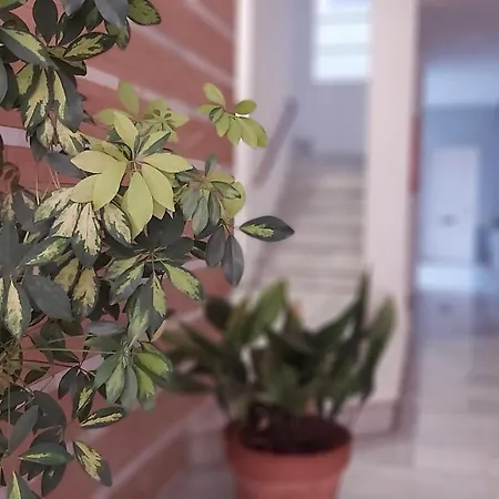 Apartment Del Parque Flats Catedral Exclusive